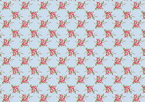 fundo-peq