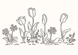 Riscos para bordados com motivos florais, Coisas da Léia
