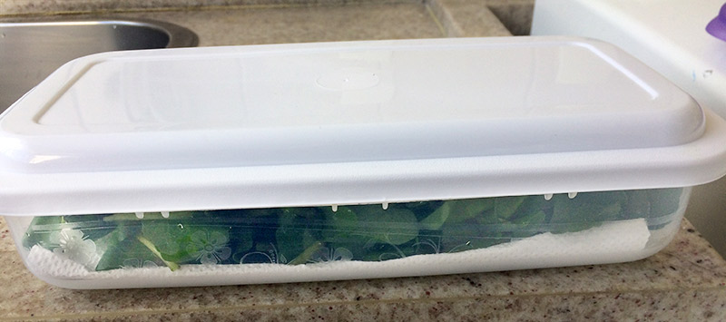 Como guardar verduras na geladeira