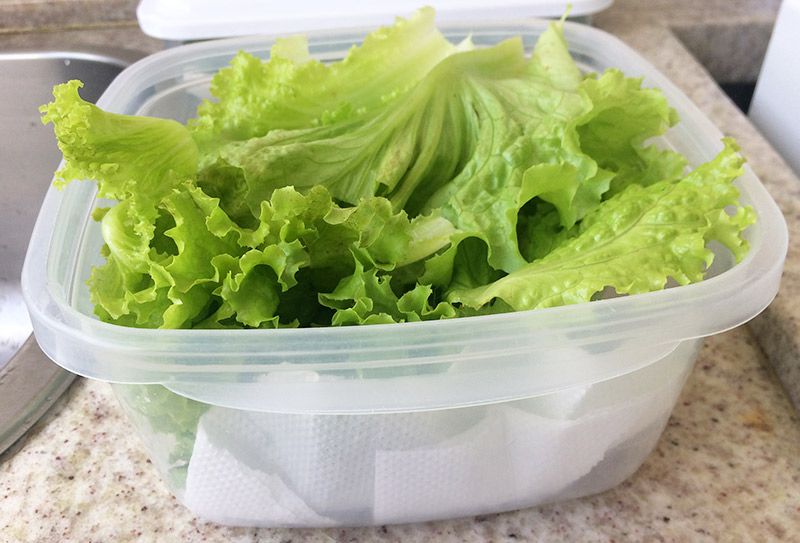 Como guardar verduras na geladeira