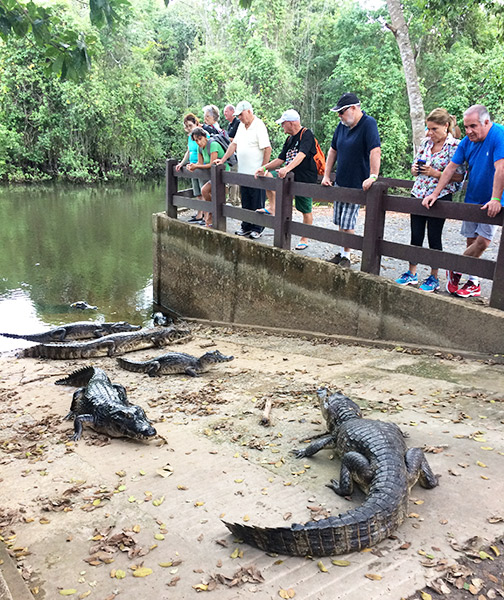 Pantanal: uma imersão na natureza, Coisas da Léia