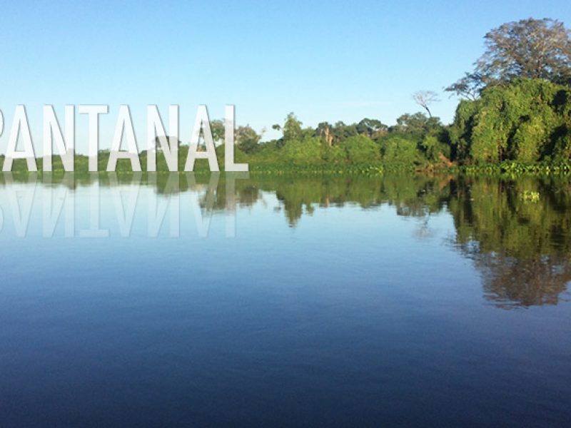 Pantanal: uma imersão na natureza