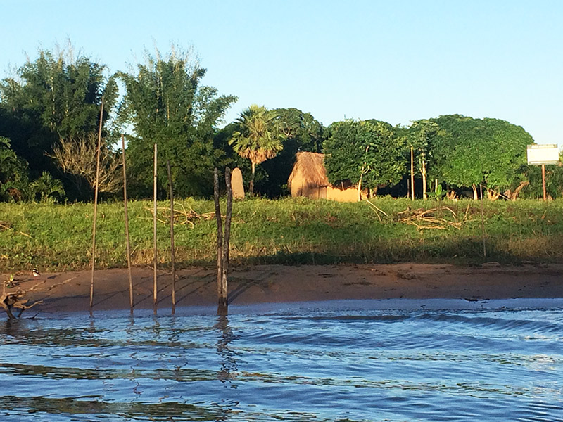 Pantanal: uma imersão na natureza, Coisas da Léia