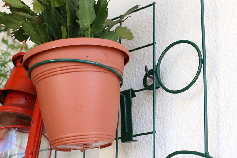 ganchos para pendurar plantas