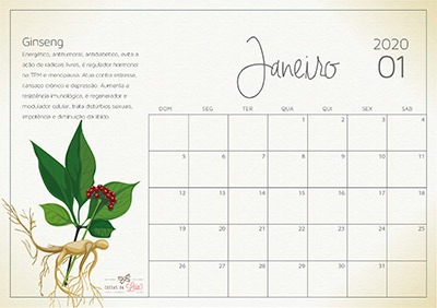 janeiro calendário 2020