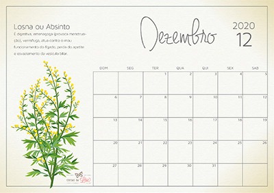 calendário 2020 dezembro