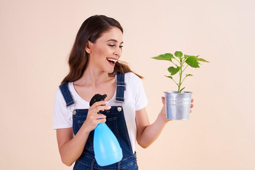 Horta caseira: dicas para cultivar temperos em casa, Coisas da Léia