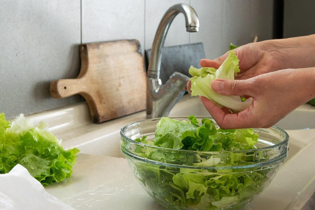 economia doméstica lavando salada