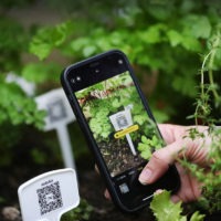 Horta caseira e inteligente com QR Code.