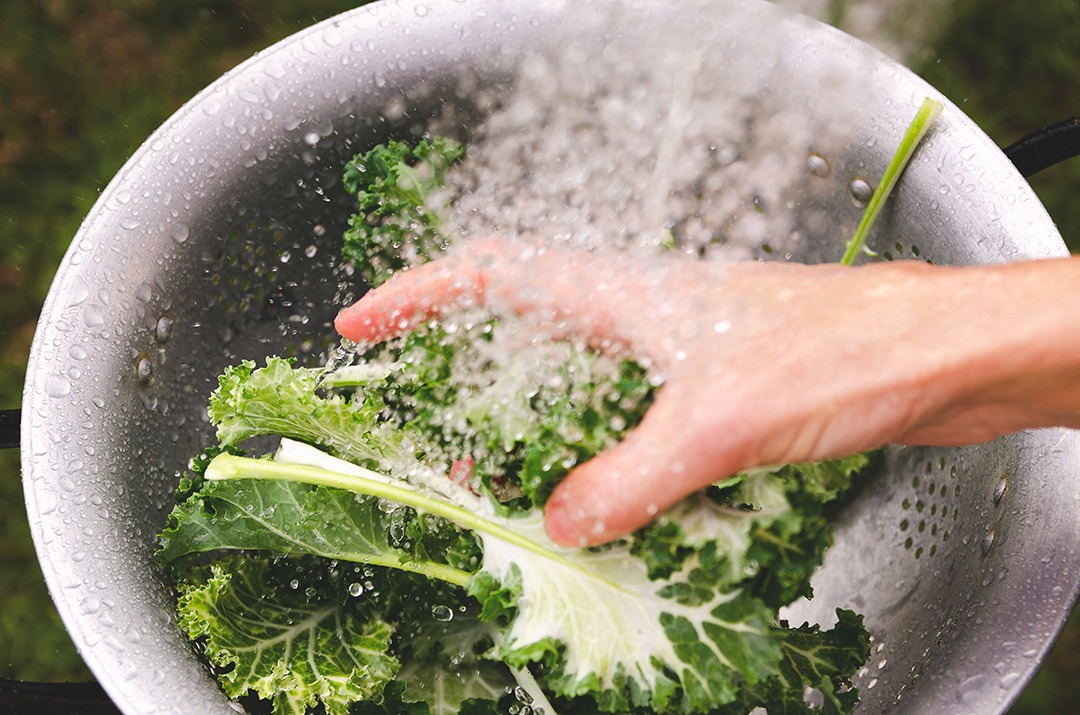 higienizado verduras e legumes