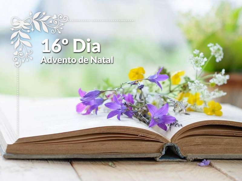 Presente do desapego: quando o presente tem alma