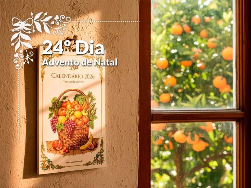 Calendário 2026 : Tempo de colher