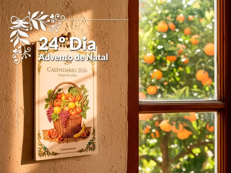 Calendário 2026 : Tempo de colher