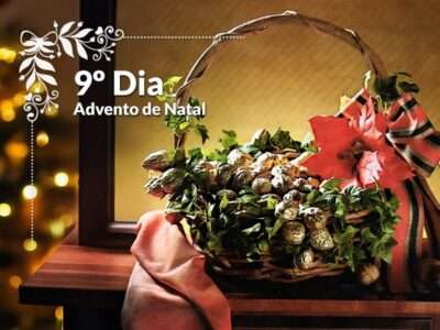 Que tal criar seu próprio centro de mesa de Natal?
